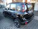 Offerta FIAT Panda 1.0 FireFly S&S Hybrid City Cross