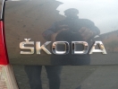 Offerta SKODA Octavia 1.6 TDI CR 105 CV 4x4 Wagon Executive