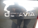 Offerta SKODA Octavia 1.6 TDI CR 105 CV 4x4 Wagon Executive