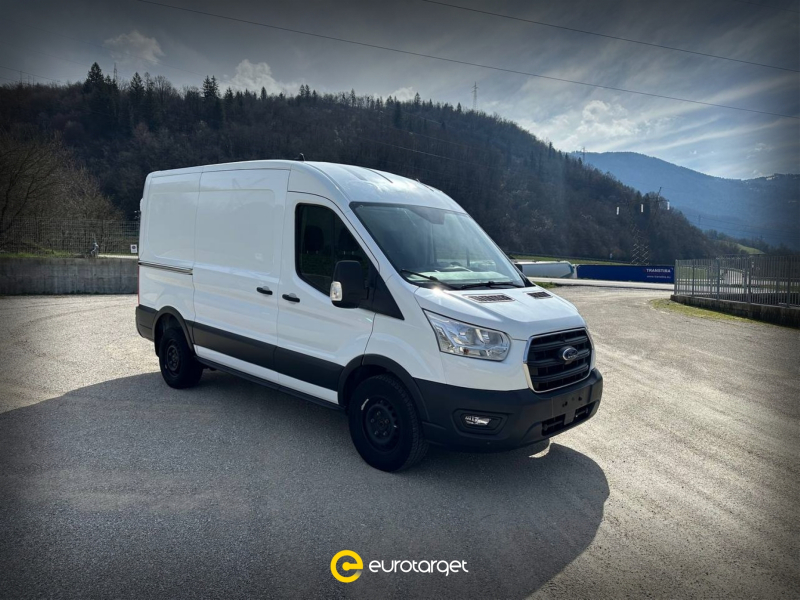 Offerta FORD Transit 330 2.0TDCi EcoBlue 170CV PM-TM Furgone Trend
