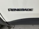 Offerta JEEP Renegade  1.6 Mjt 130 CV Limited