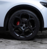 Offerta ALFA ROMEO Stelvio  2.2 Turbodiesel 210 CV AT8 Q4 Competizione