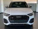 Offerta AUDI Q5 SQ5 TDI quattro tiptronic