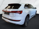 Offerta AUDI e-tron  55 quattro S line edition