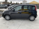 Offerta FIAT Panda 1.0 FireFly S&S Hybrid Icon