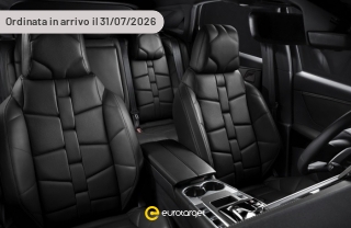 DS DS 7  BlueHDi 130 aut. Performance Line