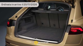 AUDI Q8  SUV TFSI e quattro 290 kW tiptronic S line edition