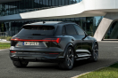Offerta AUDI Q8 e-tron  55 quattro
