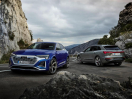Offerta AUDI Q8 e-tron  50 quattro Business Advanced