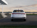 Offerta AUDI A5 Avant TDI 150 kW S tronic mHEV+ Business Advanced