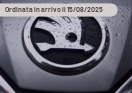 Offerta SKODA Fabia 1.0 MPI EVO 65 CV Ambition