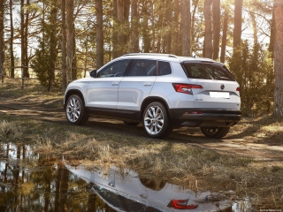 SKODA Karoq  2.0 TDI EVO SCR 115 CV DSG Ambition