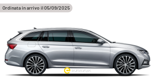 SKODA Octavia 2.0 TSI 204 CV DSG 4x4 Wagon Executive