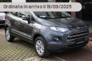 Offerta FORD EcoSport 1.0 EcoBoost 125 CV Start&Stop Titanium