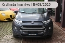 Offerta FORD EcoSport 1.0 EcoBoost 125 CV Start&Stop Titanium