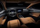 Offerta LEXUS NX Plug-in 4WD F-Sport