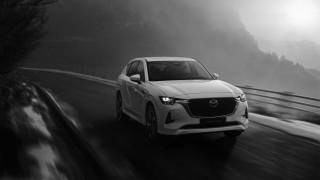 MAZDA CX-60  3.3L e-Skyactiv D 249 CV M Hybrid AWD Homura Plus