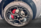 Offerta ALFA ROMEO Stelvio  2.9 Bi-Turbo V6 520 CV AT8 Q4 Quadrifoglio