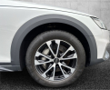 Offerta AUDI A4 allroad 50 TDI tiptronic Identity Contrast