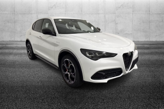 ALFA ROMEO Stelvio  2.2 Turbodiesel 210 CV AT8 Q4 Veloce