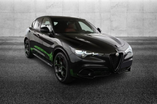 ALFA ROMEO Stelvio  2.2 Turbodiesel 210 CV AT8 Q4 Veloce