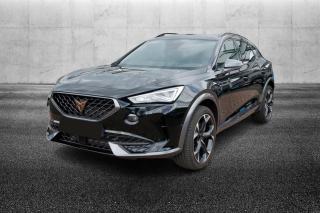 CUPRA Formentor  2.0 TSI 4Drive DSG VZ